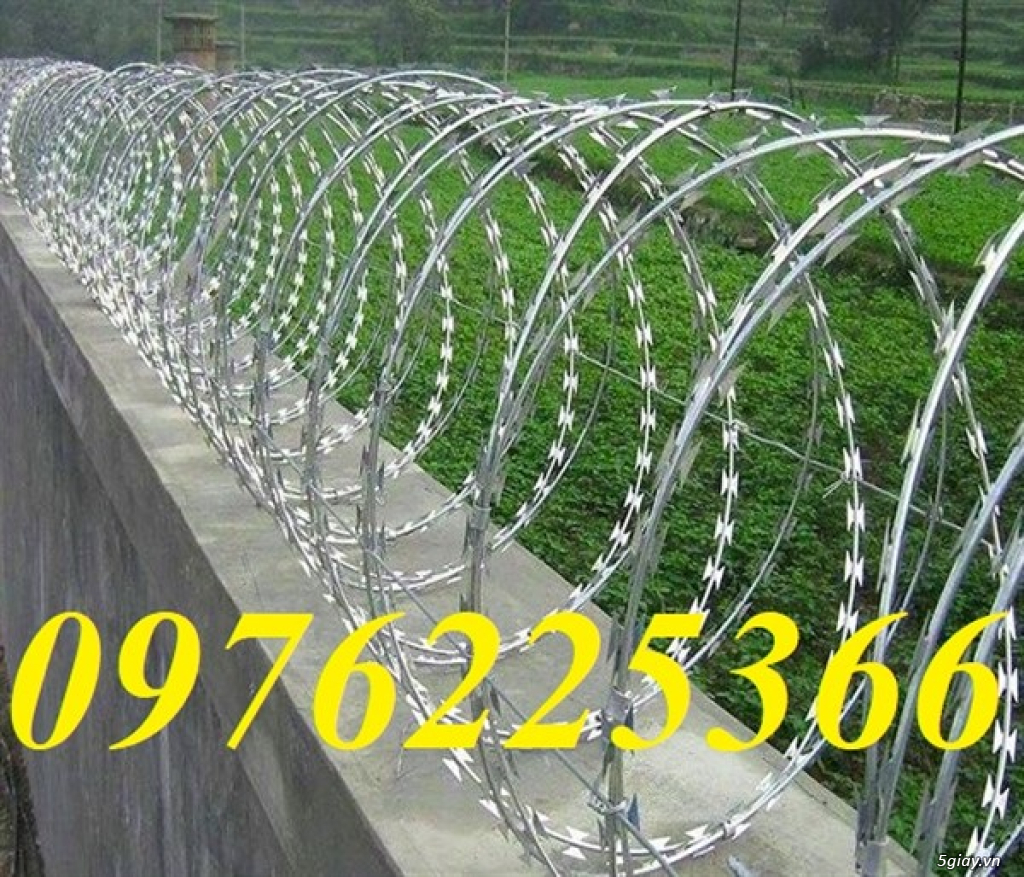 Dây gai inox  304, dây lưỡi lam inox 304 - 2