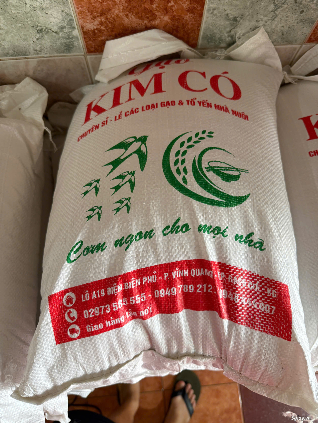 CHUẨN BAO BÌ GẠO 2026 BAO ĐỰNG GẠO 5KG, 10KG, 25KG CÁC LOẠI - 2