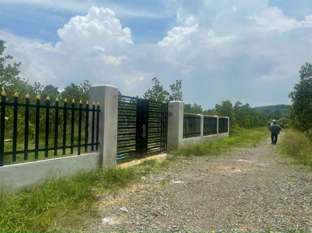 Cho thuê đất 1000m2 ĐT 761 Thanh Sơn, Định Quán, Đồng Nai - 1