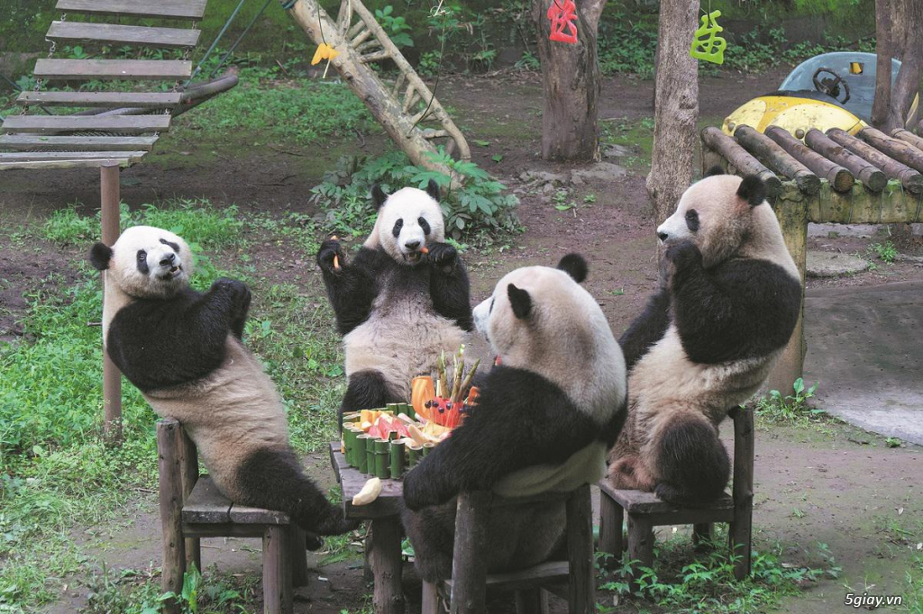 Hình hài hước... Nhiều thể loại vui nhôn - 1