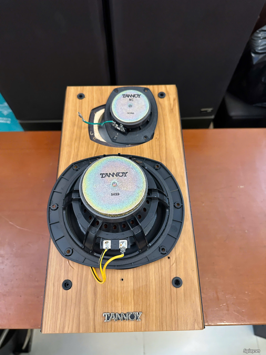 Loa Tannoy M2, 100w, Độ nhạy cao - 2