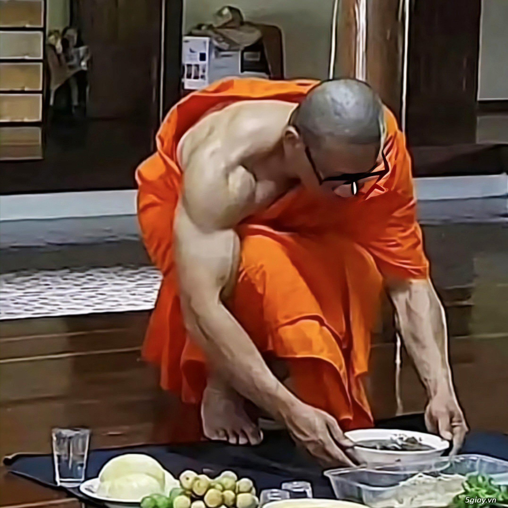 Hình hài hước... Nhiều thể loại vui nhôn