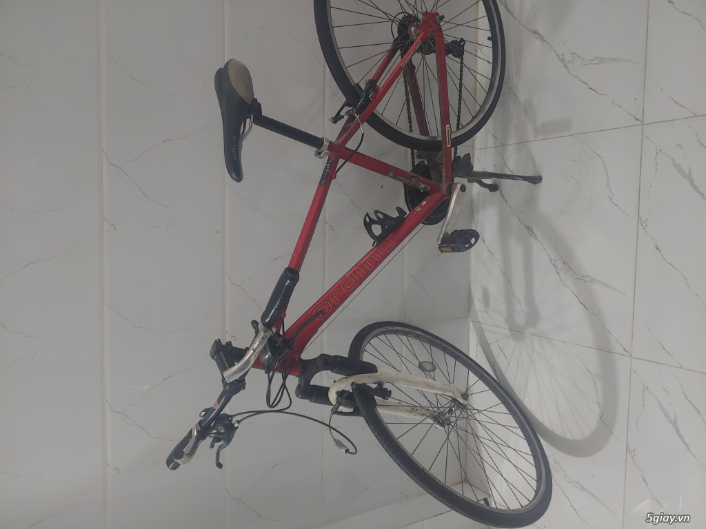 XE ĐẠP ORINO Bãi - 1