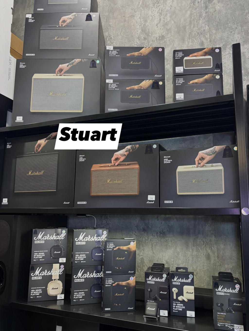 Bose,JBL,Marshall Woburn,Tufton,Middleton,StockWell,Emberton,Stanmore.