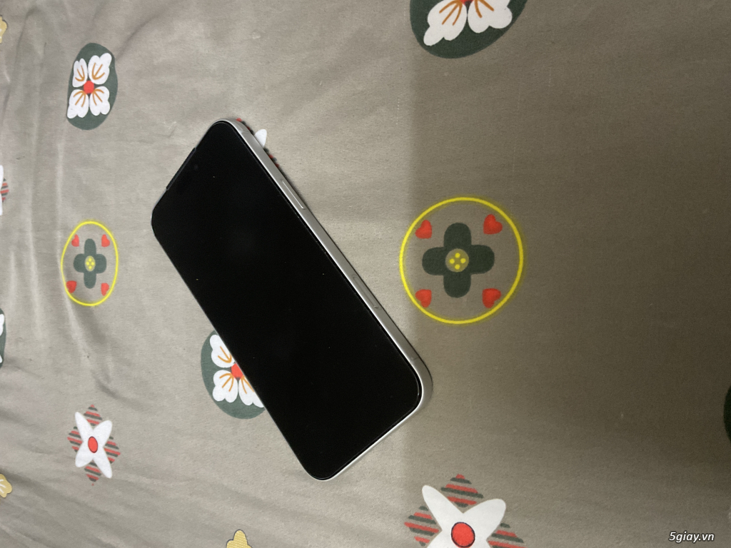iphone 17 promax 256 trắng thủ đức - 1