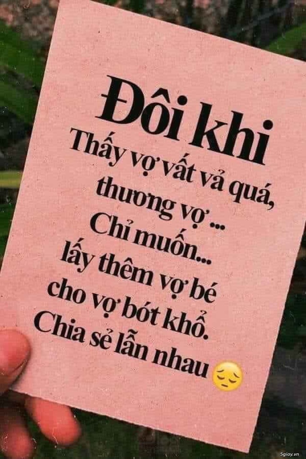 Hình hài hước... Nhiều thể loại vui nhôn - 1