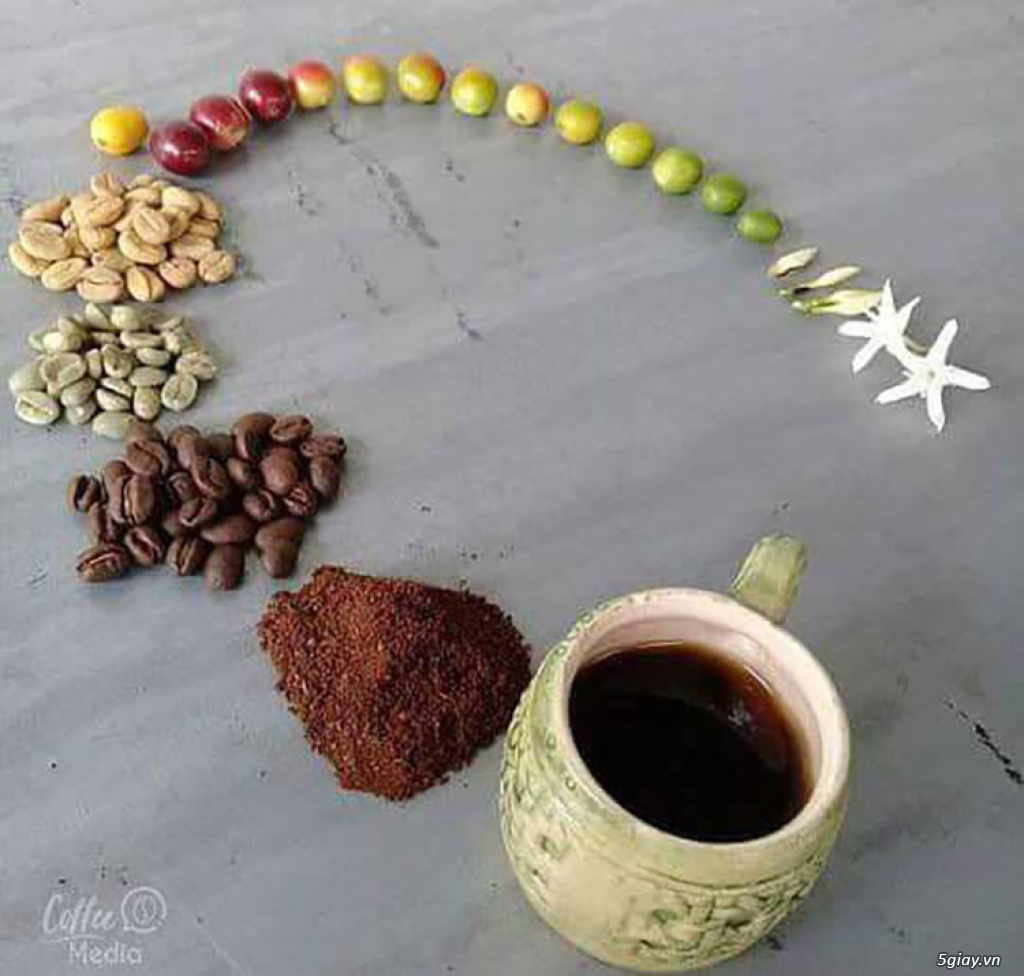 Hình hài hước... Nhiều thể loại vui nhôn - 3