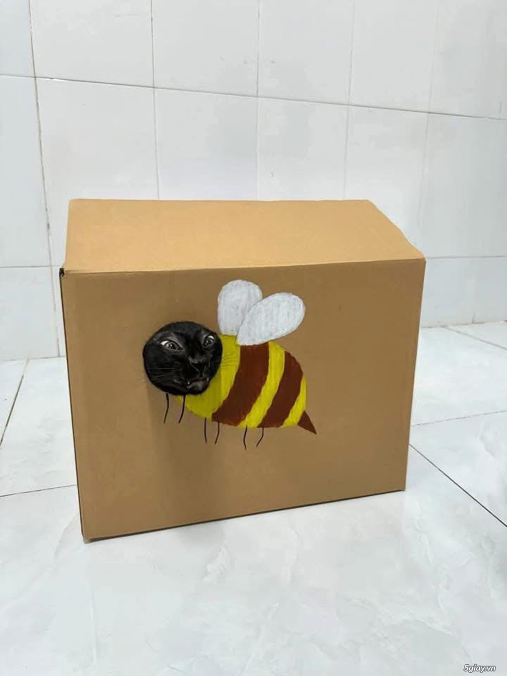 Hình hài hước... Nhiều thể loại vui nhôn - 1